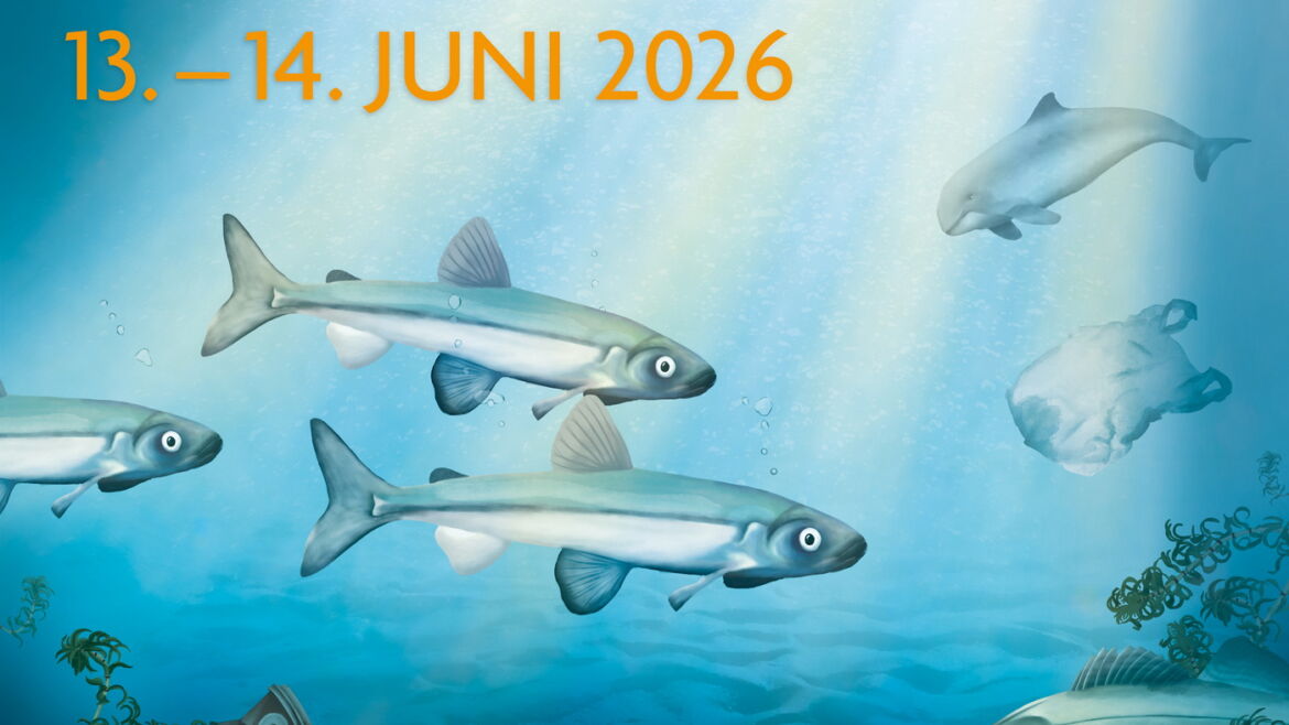 Langer Tag der StadtNatur 2026